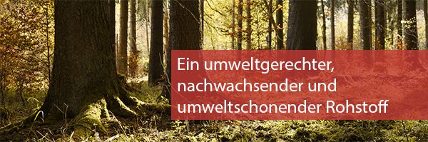 Holz ist der ideale Rohstoff für Kirchenstühle